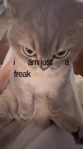 #CapCut dropping this on the 24th👻 pre-save link in bio (song: ilyTOMMY - sick & tired 3) #ilytommy #undergroundmusic #emorap #tiktok 