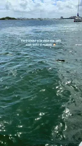 #MiamiBeach #BoatRentalMiami #JetSkiMiami #JetSkiMiami #JetSkiLife  renta de jet ski en miami 🙌🏻