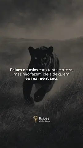 Deixa falarem, o tempo revela. 👉 Curta se você prefere provar com atitudes. autoconfiança, superação, motivação, foco, silêncio e atitude #motivação #atitude #foco 