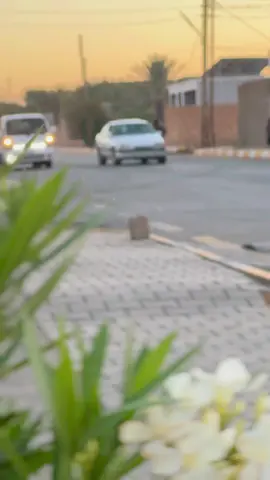 #ريحانتنا 🩵