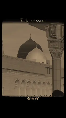 Aye Parda Nashee Dil Ke Parde May Raha Kerna…🥺🦋🫶 🕊️ #f#f#f#foryou#foryoupagenfreezemyaccountrowmyaccount2rabi_ul_awal