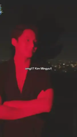 so crazy  #mingyu #seventeen #virall #fypシ゚ 