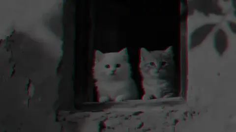 في_كليوم_اعشقك_عشق_من_جديد💛': 