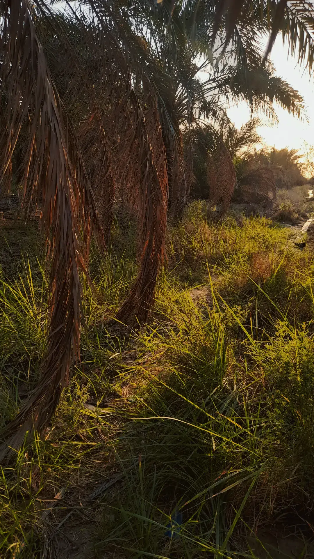 #nature #تصويري📷 #طبيعة #beutifull #جمال 