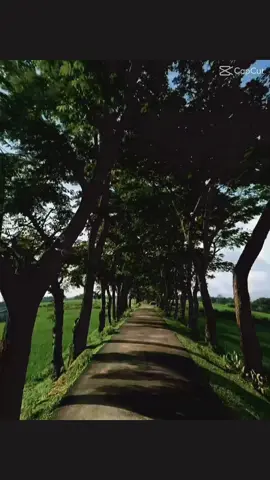 আহা রে মায়াবতী 🌚💔#CapCut #CapCut #CapCut 