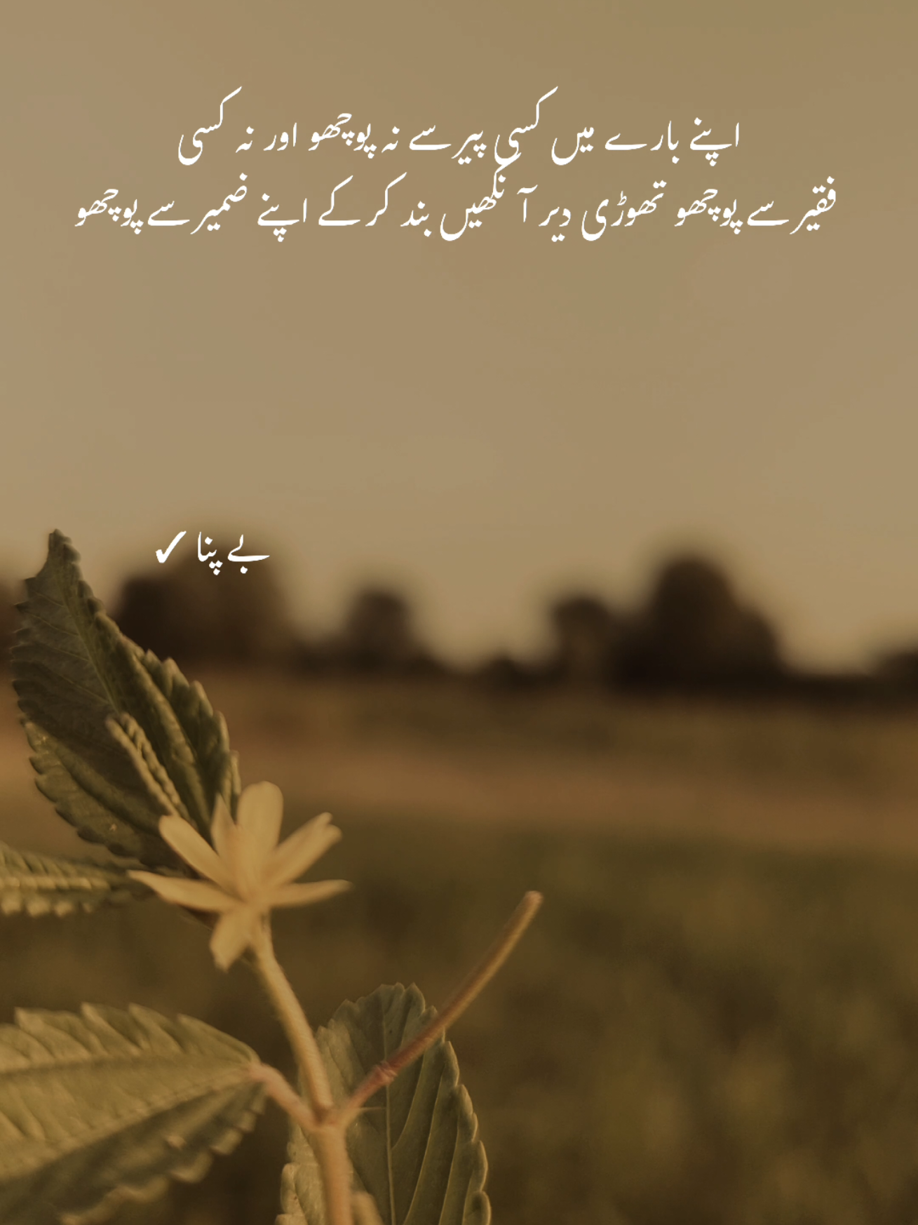 Deep words ❤️‍🩹 #1millionaudition #asthetic #poetrystatus #foryou #fypp 