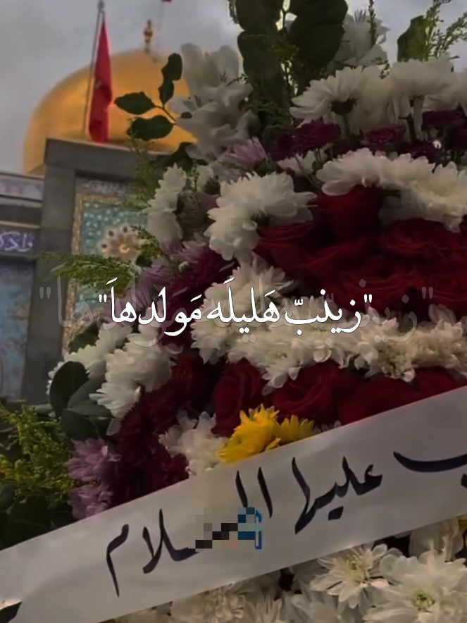نبارك لكم ولادة مولاتنا ألعقيله 🌺🌸#متباركين_يا_شيعة_؏ـلي🦋💕 #اكسبلوررررررر #اكسبلورexplore #اكسبلوررررررر #أيـّــمًـّــيّــلـٌــيً♥ 