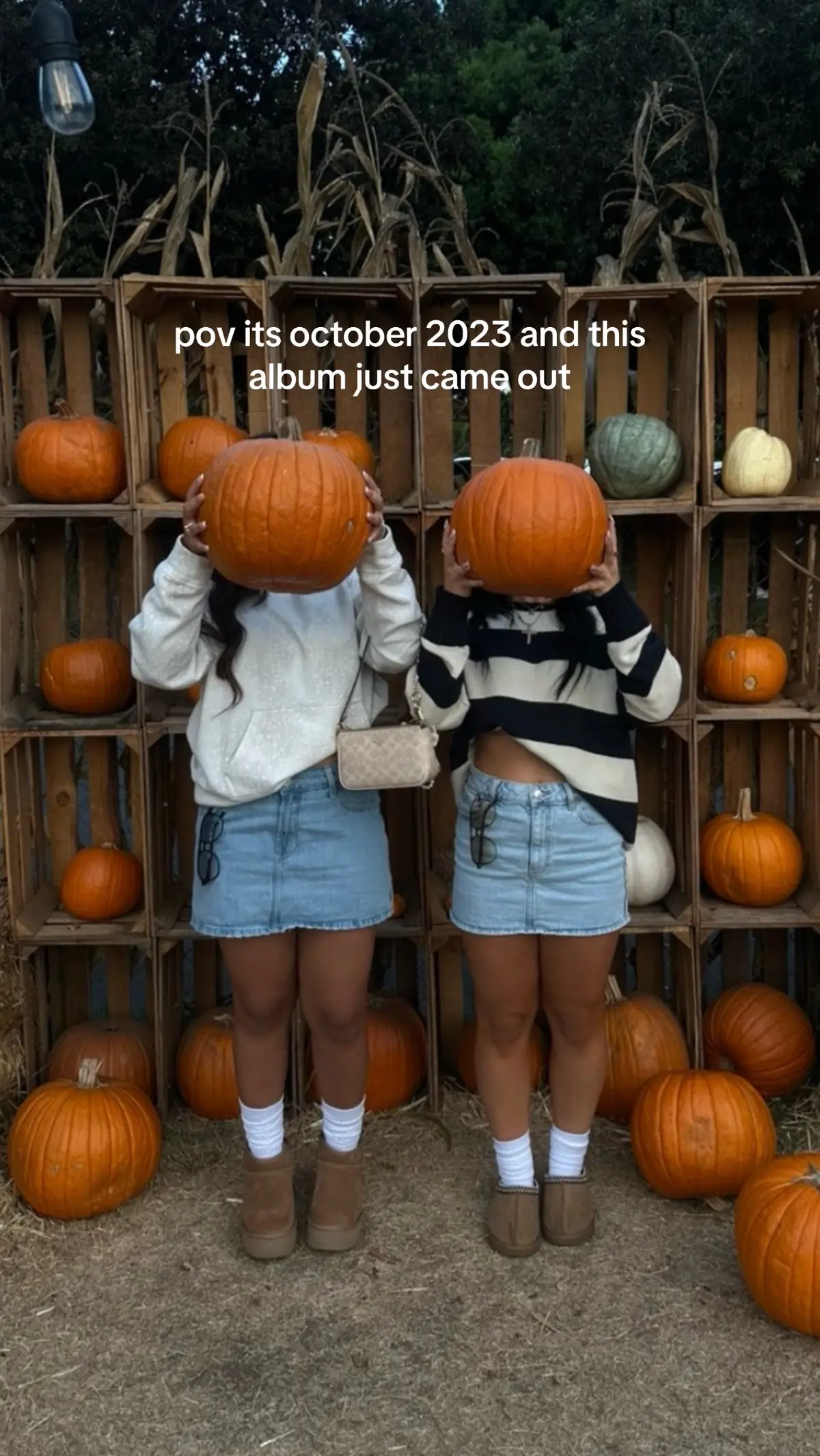 i miss it #october #virginabeach #forallthedogs 