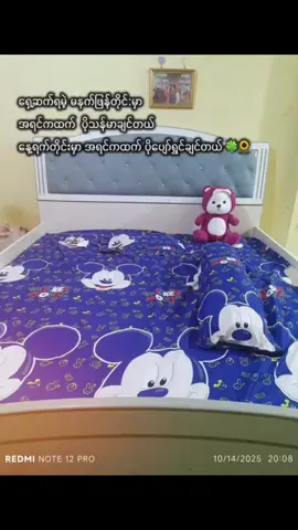 #CapCut ကိုယ့်ကို အမောပြေစေသော အရာလေးတစ်ခု💙🙈 အရမ်းသဘောကျမိလို့😁 အရုပ်လေးတစ်ခုတည်းအဖော်မဲ့နေ မုန့်မစားပဲ  အရုပ်တွေ ဘေးမှာထပ်ဖြည့်ရမယ်😁🙈🤭#View #fypツ #foryouuuuuuuuuuuuuuuuuuuuuuuuuu 