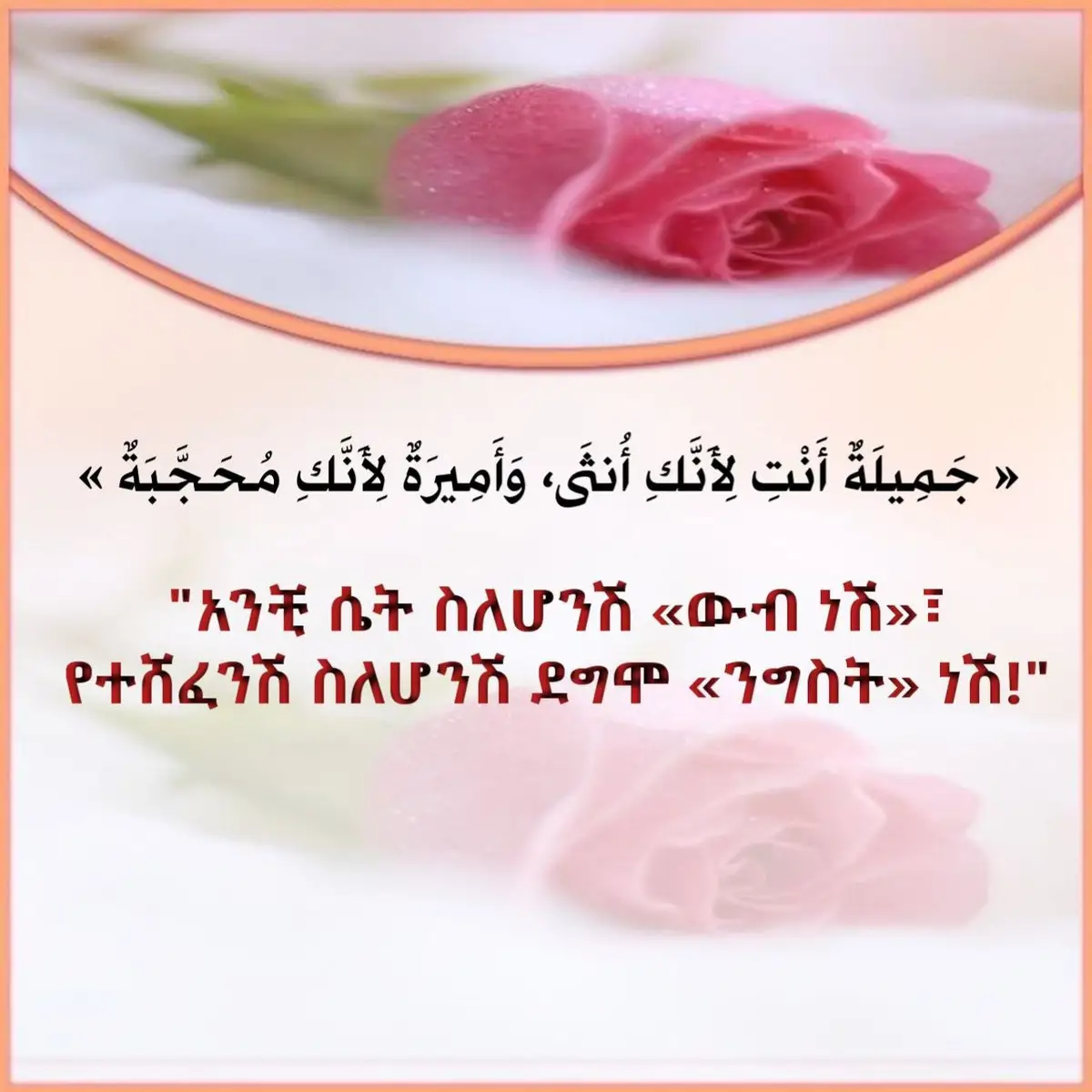 #VoiceEffects #allhmdullilah_for_everything❤️❤️❤️ #ንግስቷ😘😘❤ 