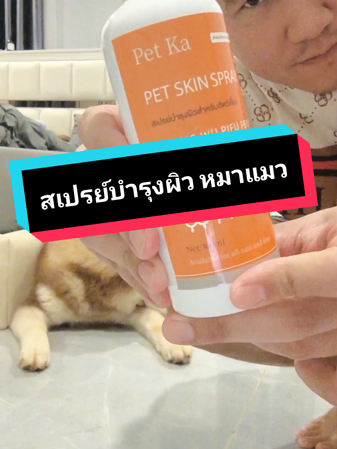 ไม่ได้แค่บำรุงผิวน้อง แต่ป้องกันเห็บหมัดไร ด้วยนะ #สเปรย์ดูแลผิวหมาแมว #สเปรย์ดูแลผิวหนังสัตว์เลี้ยง #สเปรย์กําจัดเห็บและหมัด #เห็บหมัด #เห็บหมัดสัตว์เลี้ยง 