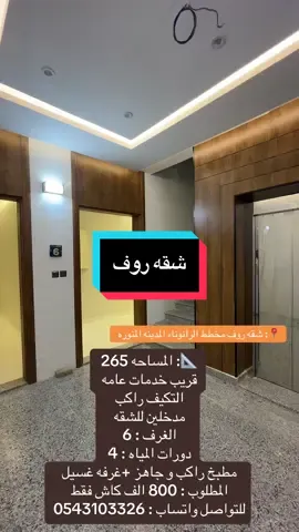 #الرانوناء #fyp #explorer #explore #explorer 