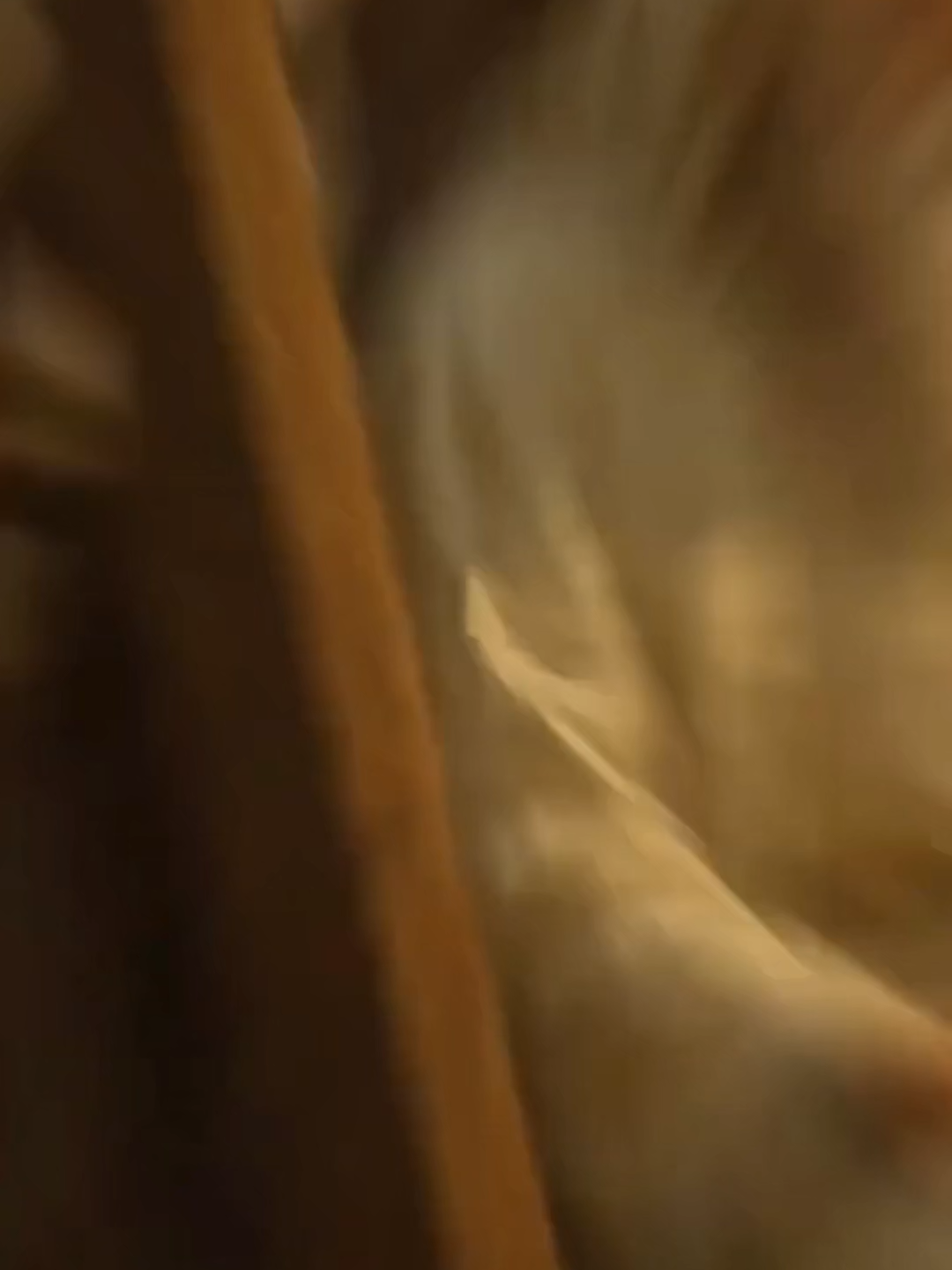 Hazreti İbrahim'in İmanı