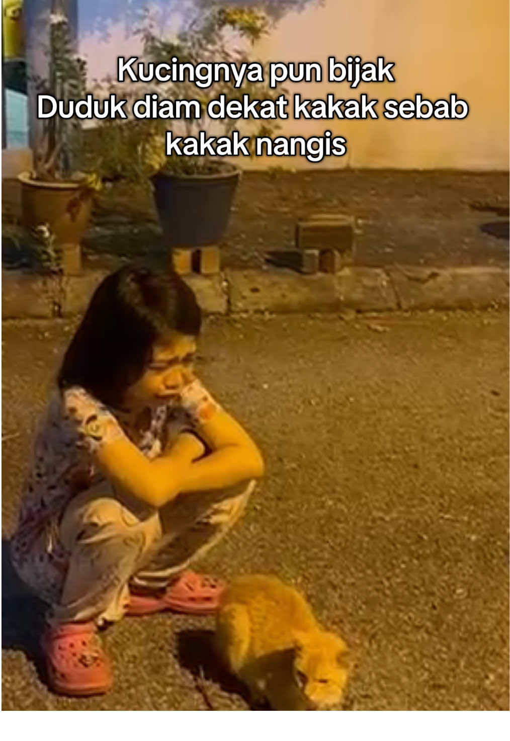 Mami pun sedih juga 🥺  Mulia hati mu Anak. its okay semua perkara perlukan waktu. Rujinu tahu hafizah kakak yang baik #kucing #cat