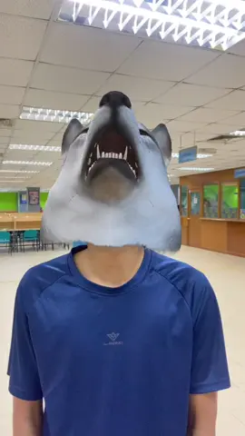 study mood 🐺🐺🐺(repost) #alphawolf #fyp #studytok #pspm 