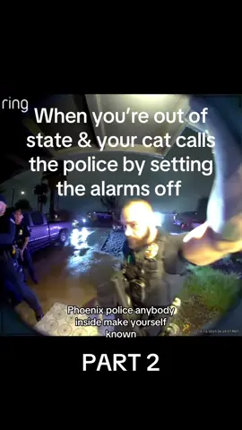 The culprit - He is so fat he usually doesn’t need food or water for days 🤣 #catsoftiktok #cat #ringdoorbell #police #alarm  What happened after, the police checked to make sure no one broke into our house, the front door was ajar and the cat was waiting inside ☠️ 