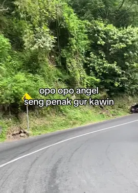 Bangeteeen