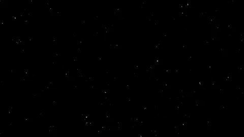 First try? #billieeilish #wildflower #aesthetic #musicvibes #fyp 