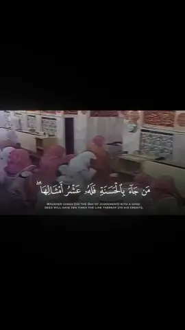 #محمد_أيوب #سورة_الأنعام #quran_alkarim #القران_كريم 