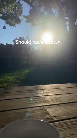 This turned out cinematic. #jamespotter #harrypotter #halloween #cosplay 