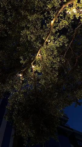 🌿⚡️