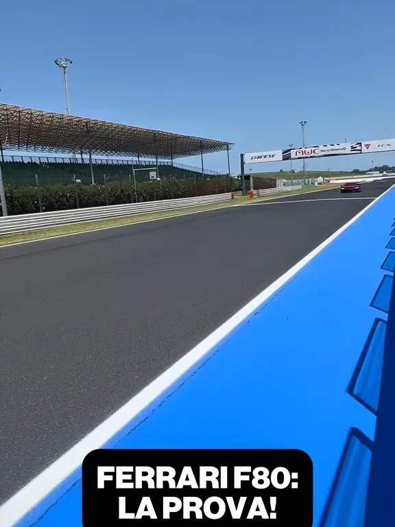 video_1101864374623403