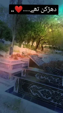 Allah pak krwt krwt jnt nseeb Karen hmary piyaron ko 🤲 mis u baba jani nd my bro 😥 #foryoupag #foryoupag#foryoupag #videviral #growmyaccount #trending #MaheRamzan #foryoupag #viraltiktokteam #videoviraltiktokteam 