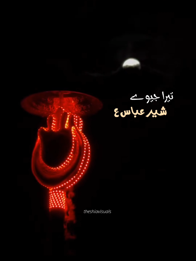 Ya Aliع Jeevan Tery Laal🥹🤎 . #yaaliع #yahussainع #yamehdiع #shiastatus #shiavideos 