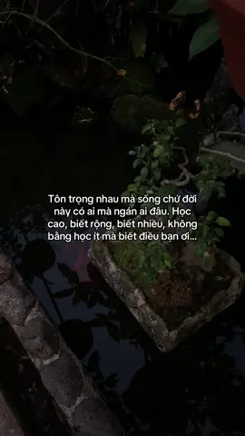 …#tamtrang #story 