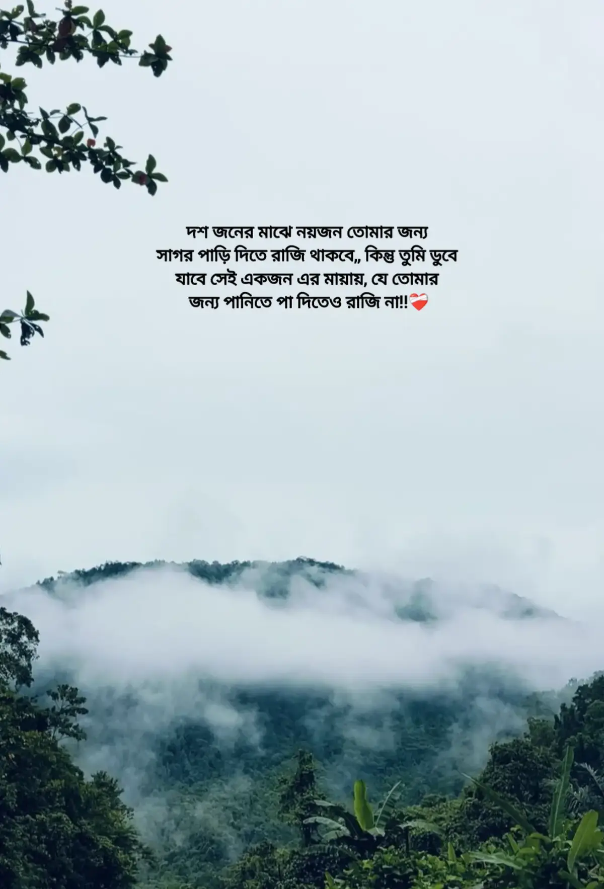 দশ জনের মাঝে নয়জন তোমার জন্য সাগর পাড়ি দিতে রাজি থাকবে,, কিন্তু তুমি ডুবে যাবে সেই একজন এর মায়ায়, যে তোমার জন্য পানিতে পা দিতেও রাজি না!!❤️‍🩹 #foryou #foryoupage #viral #unfrezzmyaccount 
