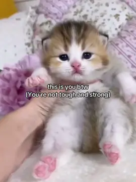 relateable? #fyp #relatable #cattok #couple #meme 