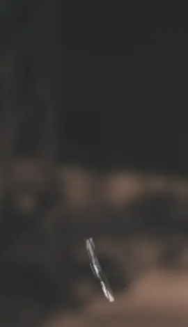 repost request.           #mx_murshad1 #goviral #fyp #grow #murshad_lyric 