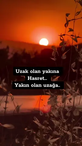 #kesfet #tıktok #kesfetedussun #beniöneçıkart #fy 