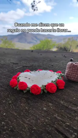 Son preciosas 🥹 #regalo #llorar #rosas #amor 