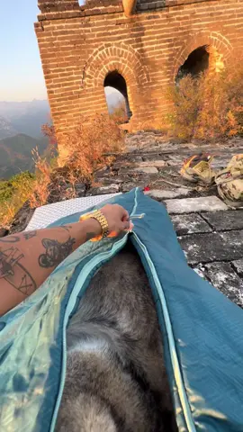 Hi, human. I’m the wolf. The wild one's sleeping bag is so toasty warm... Don't you think you should lie down with me for a while? ##Thewolfsseduction #Fres 