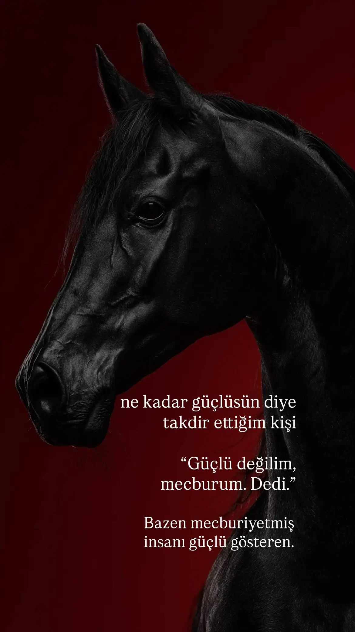 #geceyazdım #söz #aşk #duygusal 