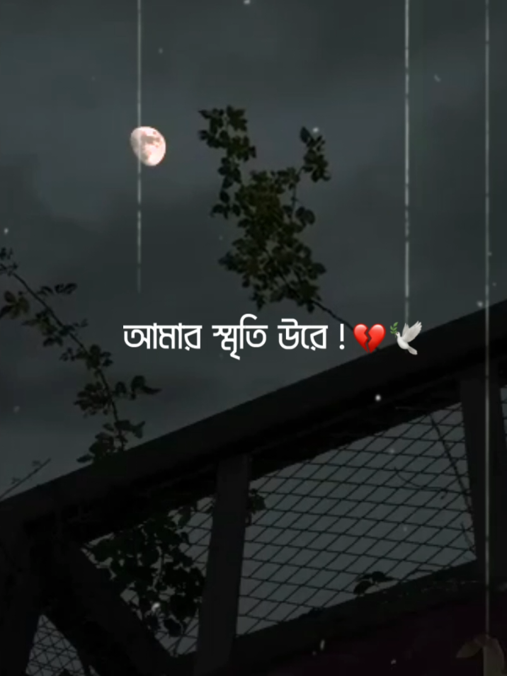 - Feel This Song ❤️‍🩹✨ #lyrics_songs #lyricsvideo #lyrics #lyrics_nayem_890 #foryou 