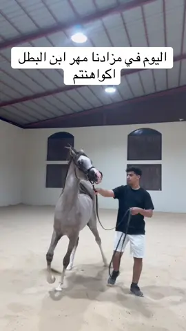 للمزاوده ف لاصفر لاصفر ف البايو #مربط الشيخ 