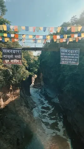 #creatorsearchinsights 