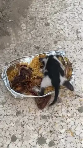 😋😋