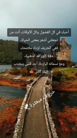#حروف_مبعثرة🕊 #المانيا_السويد_النمسا_النروج_دينيمارك #تونس_الكويت_مصر_السعودية_العراق #الخليج_العربي 