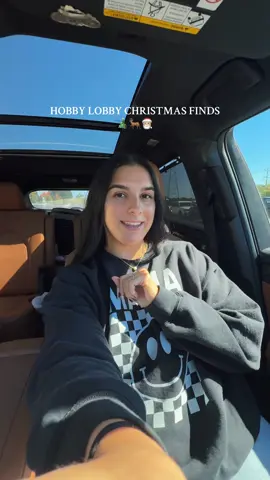 Filmed a few days ago - here’s day 14 of vlogober hehe #vlogtober #Vlog #hobbylobbyfinds #hobbylobbychristmas #christmasdecor 