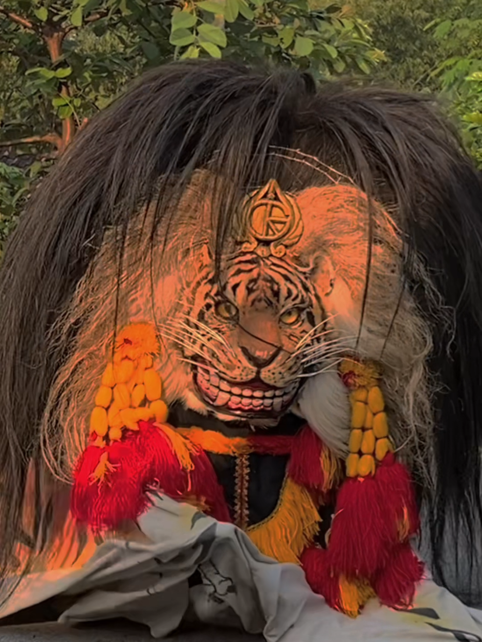 Ndak Gigit Kog !! Seni Barong 
