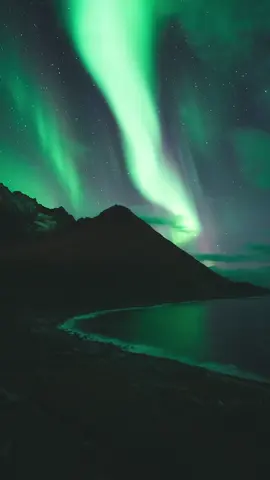 If only it was that simple… Unfortunately I’m not a wizard, but I was able to execute my plan to perfection thanks to the northern lights coming out 😅 #norway #norge #senja #fyp #aurora