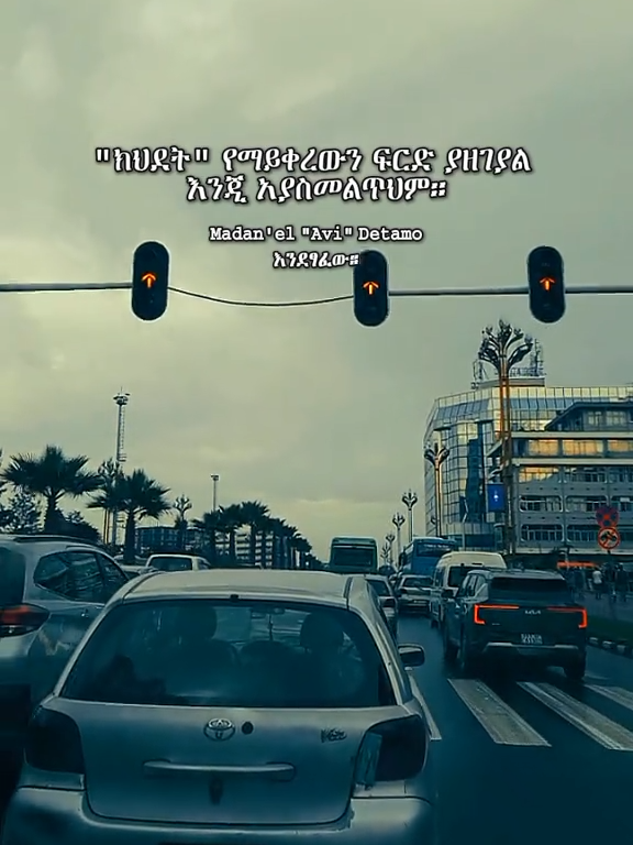 #thoughtofmadanel #avi #original #fyp 