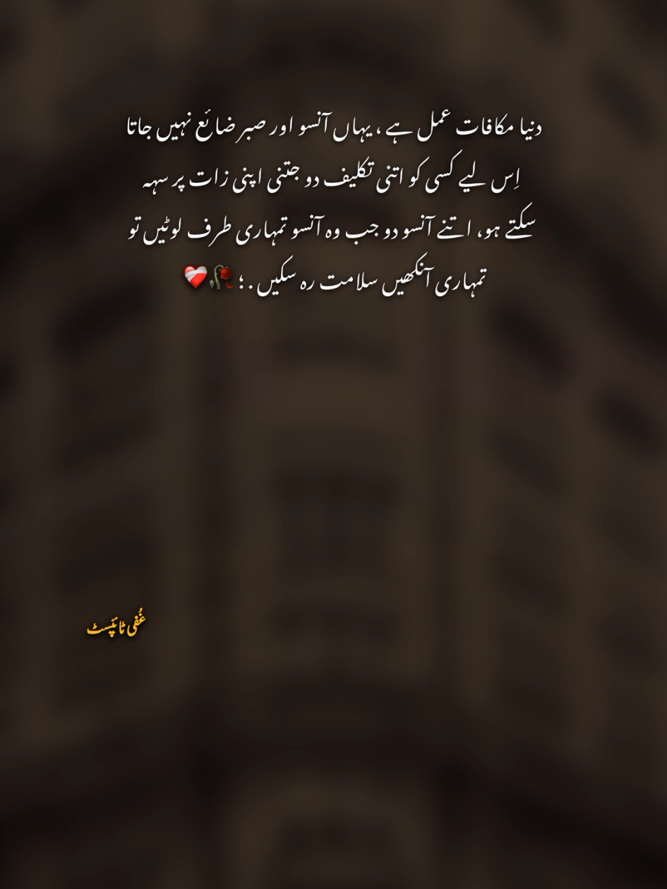 #lines #fyp 