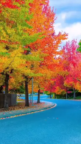 #달밤의야시장털기 