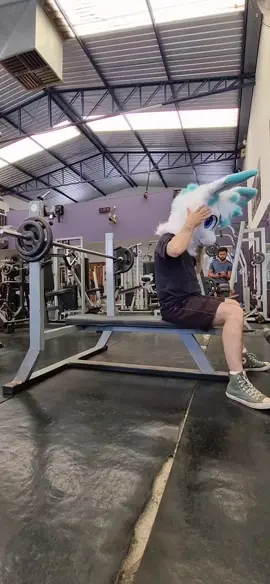 treino de peito com barra de 11 kilos +14 kilos cada lado totalizando 39 kilos  #furr #furry #fursuit #furrygym #furrytiktok #academia #gym #furryfandom #furrybrasil #treinodepeito 