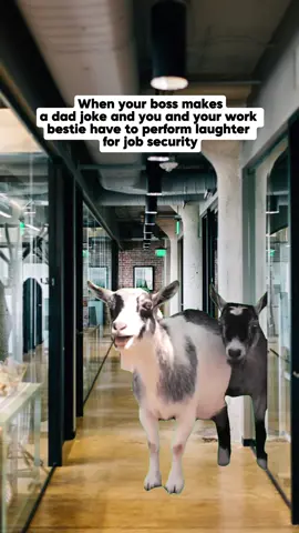 This laugh pays the bills 🤣 #corporate #funny #workmeme 