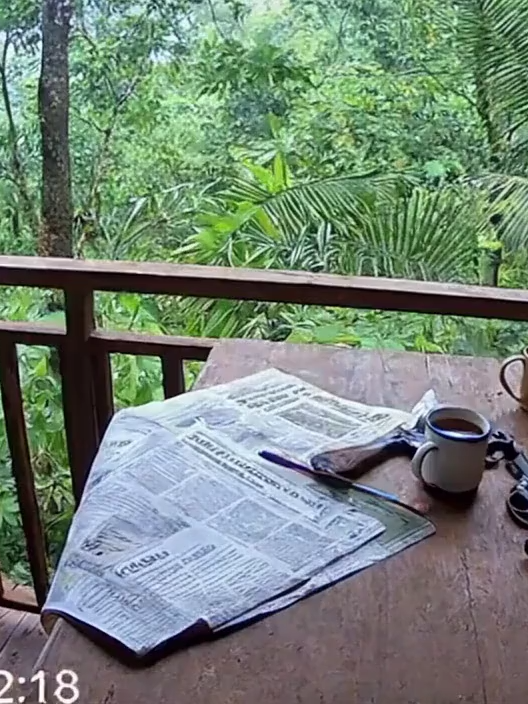 macaco invasor #macaco #fyp#camera